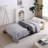 Convertible Sleeper Sofa Couch,Multifunctional Double Folding Sofa Bed,Storage Ottoman and Sofa arm with box and drawer